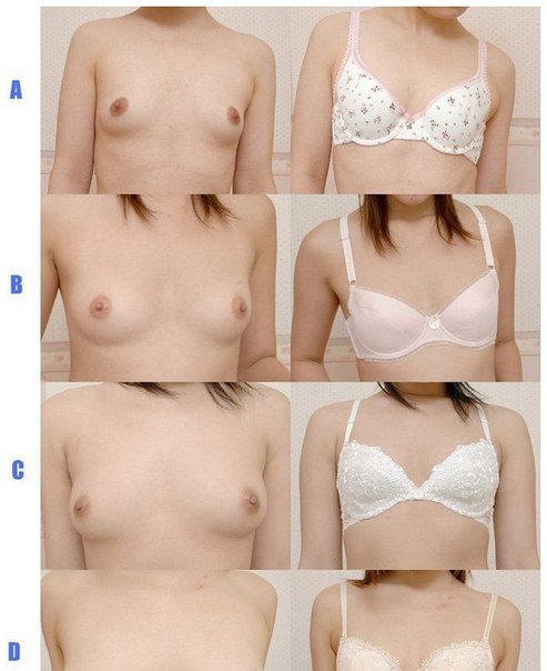 Забавная эротика