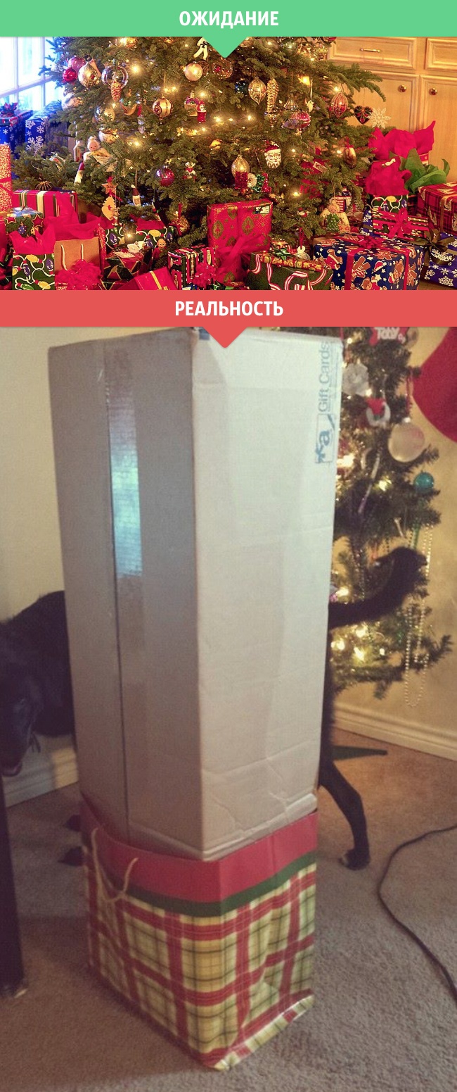 Зимнее ожидание и реальность