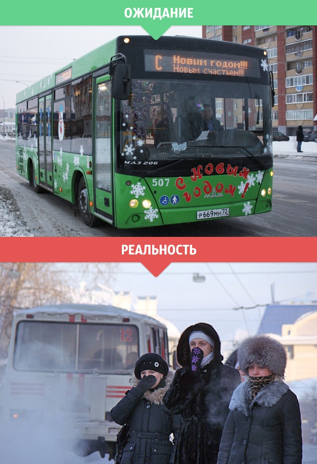 Зимнее ожидание и реальность