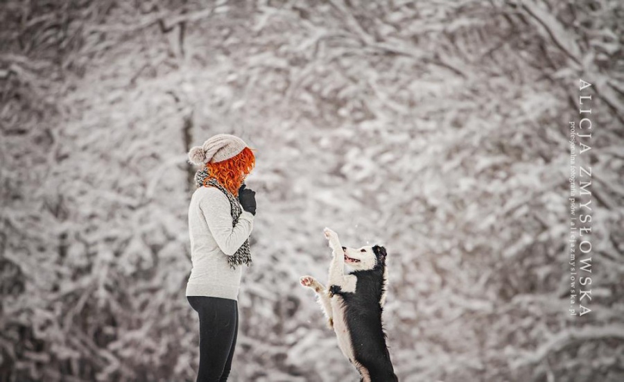 Крутые портреты собак