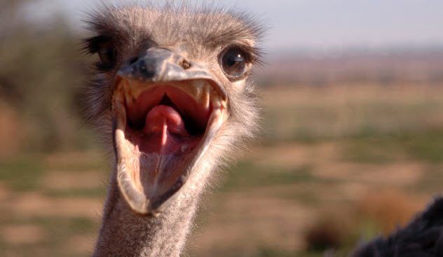 «Спи, моя радость, усни!». Истории нескольких людей, которые совершили преступления во сне