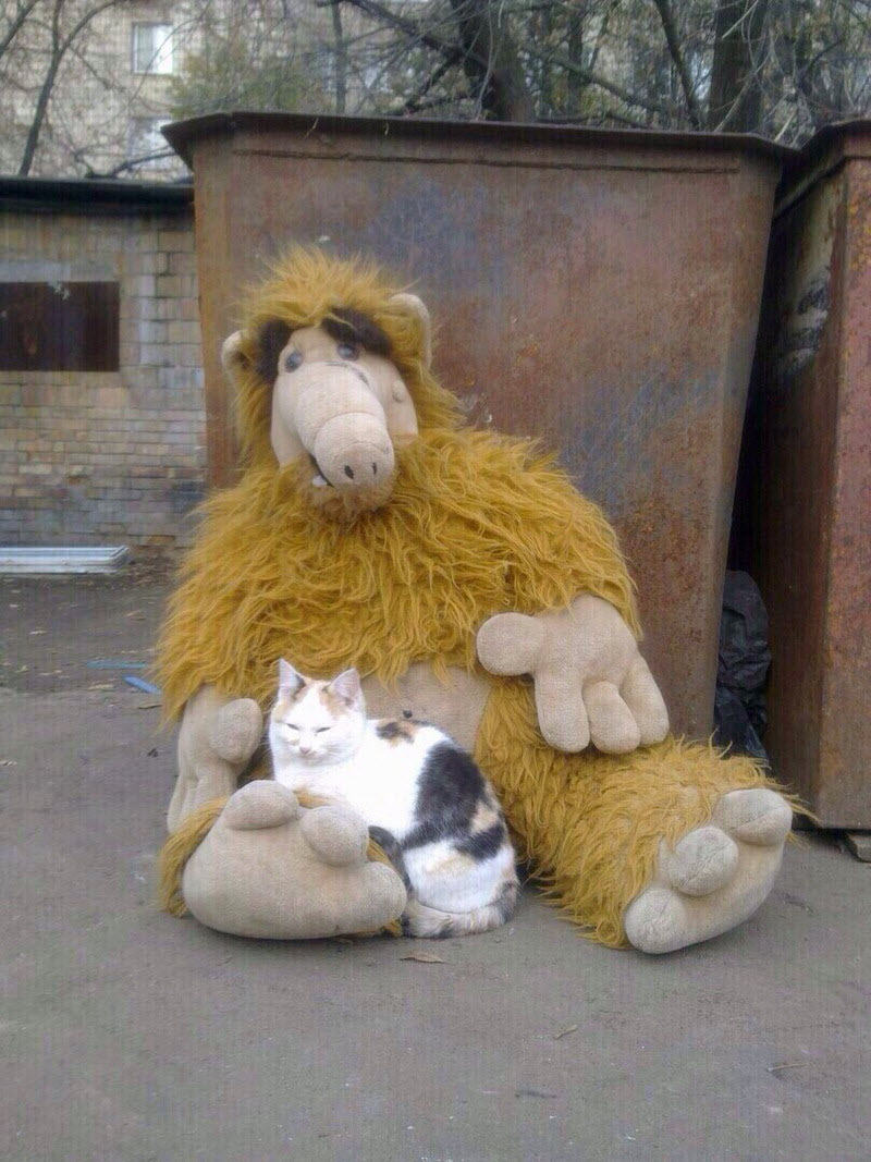 Удивительные снимки с российских просторов