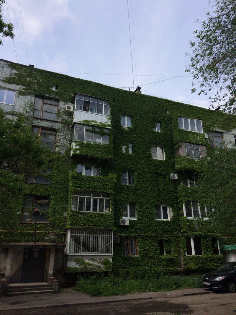 Удивительные снимки с российских просторов