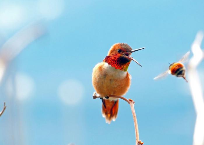 Прикольные картинки