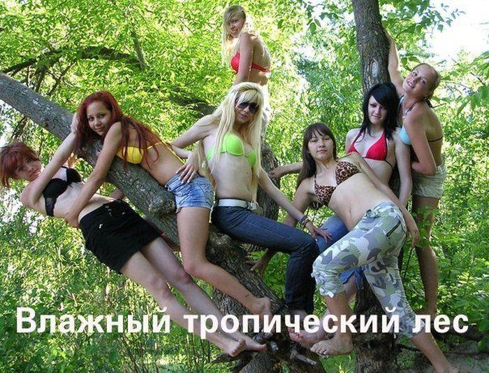 Прикольные картинки