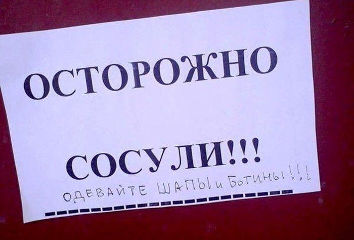 Прикольные картинки