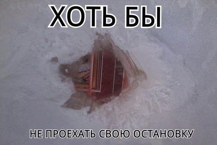 Прикольные картинки