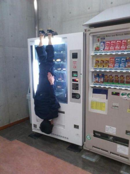 Прикольные картинки