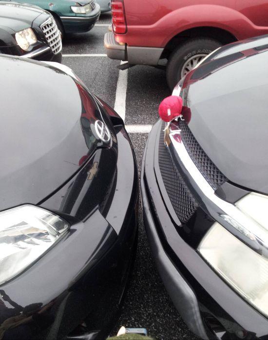 Прикольные картинки