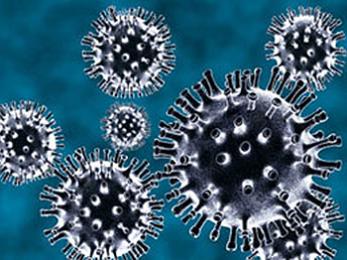 Вниманию туристов и паломников: на Востоке новый вирус! Вниманию туристов и паломников: на Востоке новый вирус!