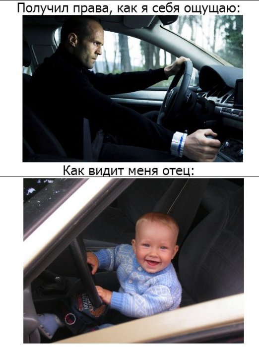 Забавные картинки