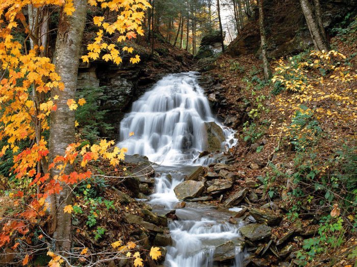 Обои на рабочий стол / Wallpapers by  famdoc mix 924