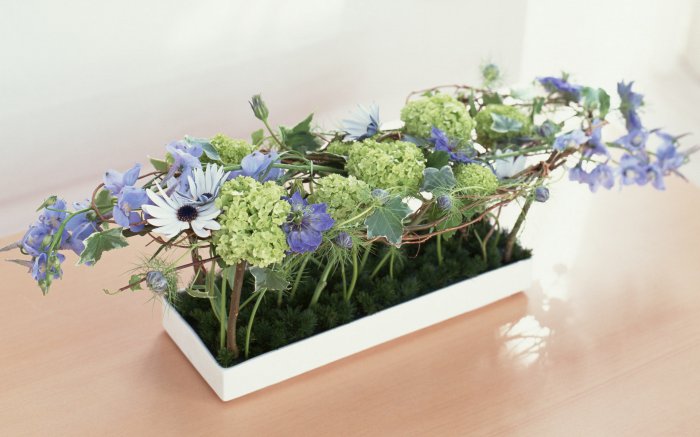 Обои на рабочий стол / Wallpapers by  famdoc mix 924