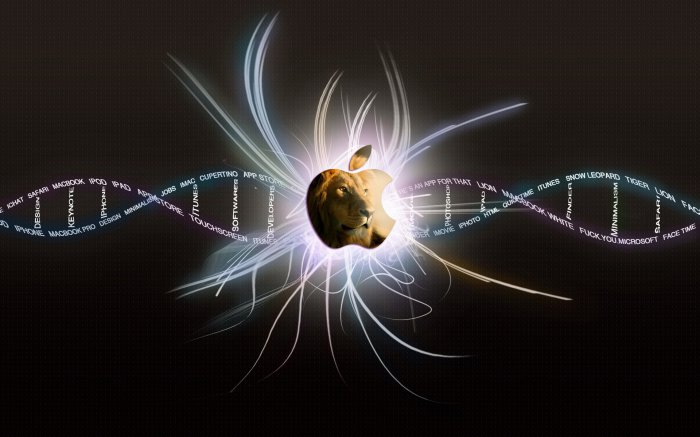 Обои на рабочий стол / Wallpapers by  famdoc mix 924