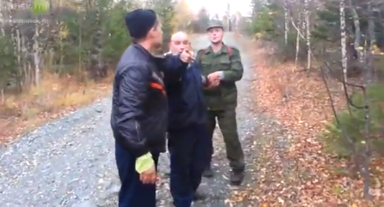 Грибы, такие грибы..