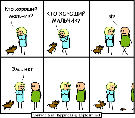 Забавные картинки