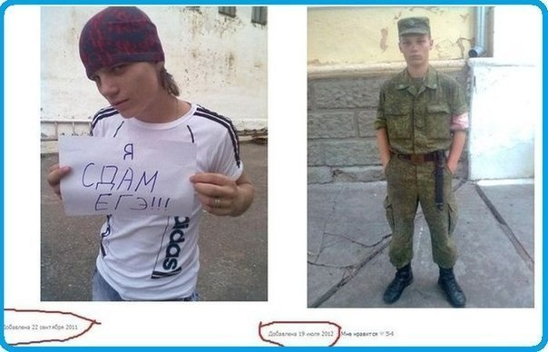 Забавные картинки