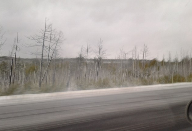 Зима уже за окном! 14.09.2013