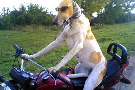 Аварии и ДТП за Сентябрь 2013