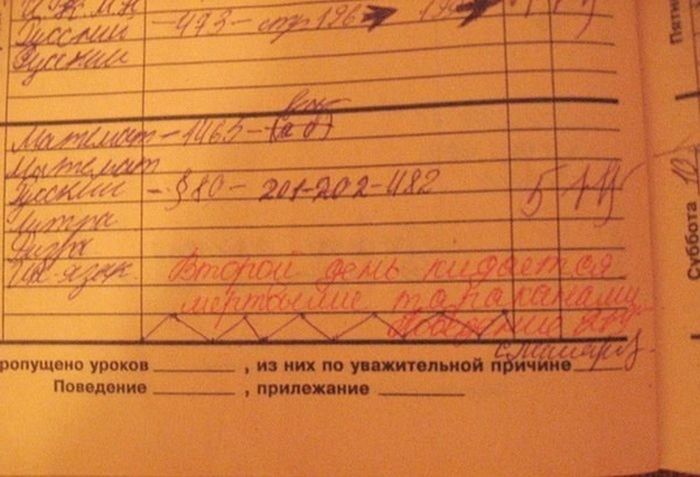 Забавные картинки