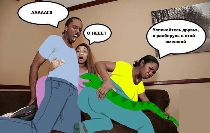 Забавные картинки