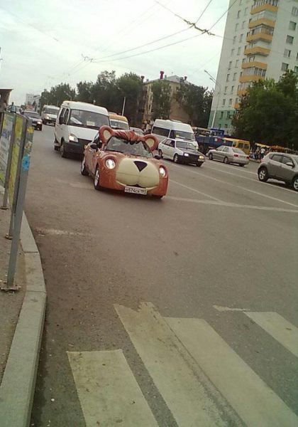 Забавные картинки