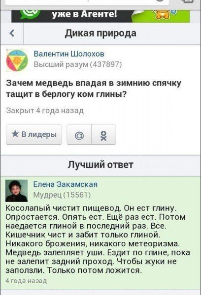 Забавные картинки