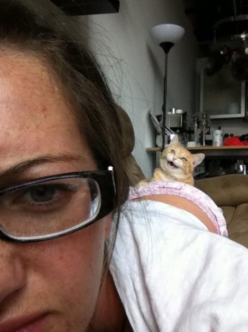 Забавные картинки