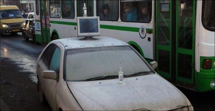 Забавные картинки