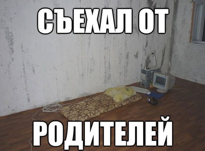 Забавные картинки