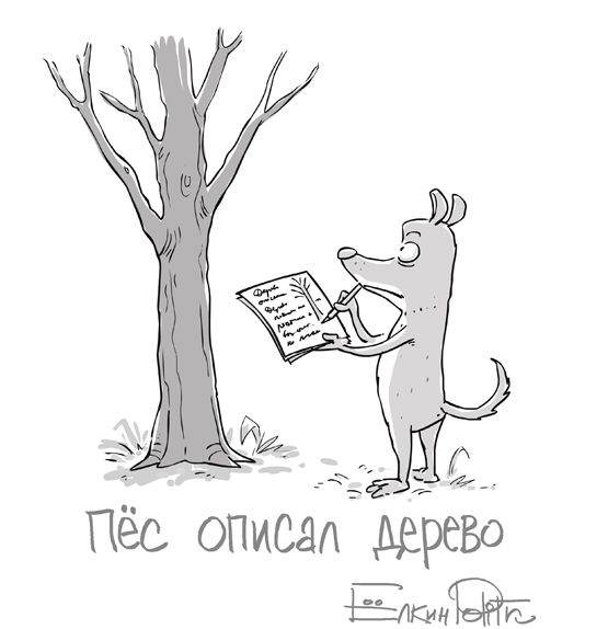 Забавные картинки