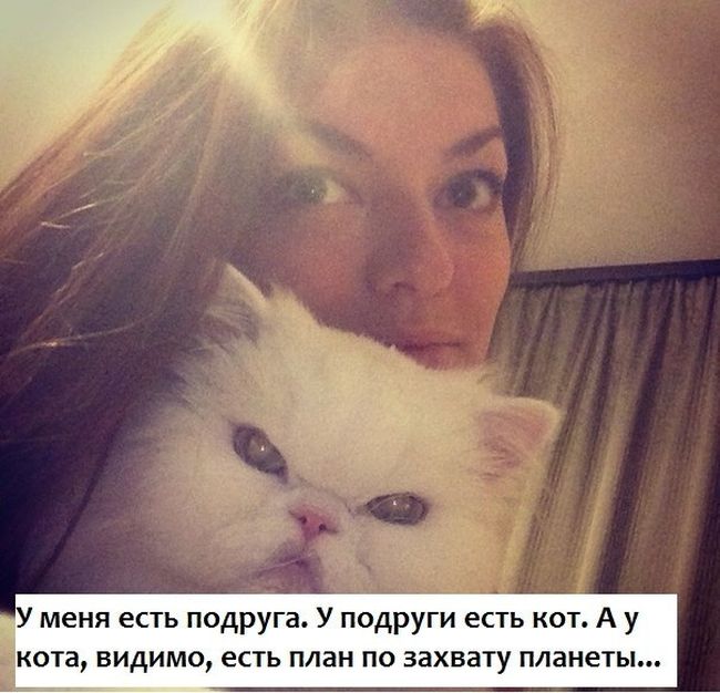 Забавные картинки