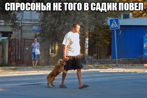 Забавные картинки