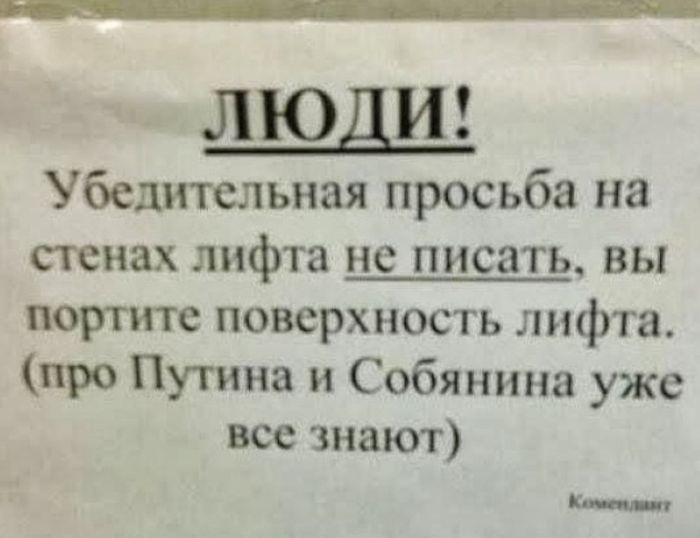 Забавные картинки