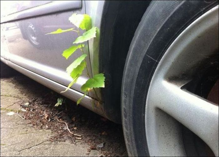 Забавные картинки