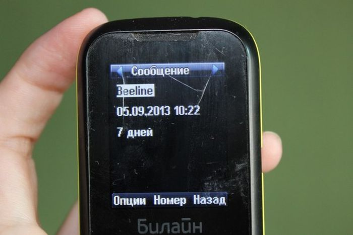 Забавные картинки