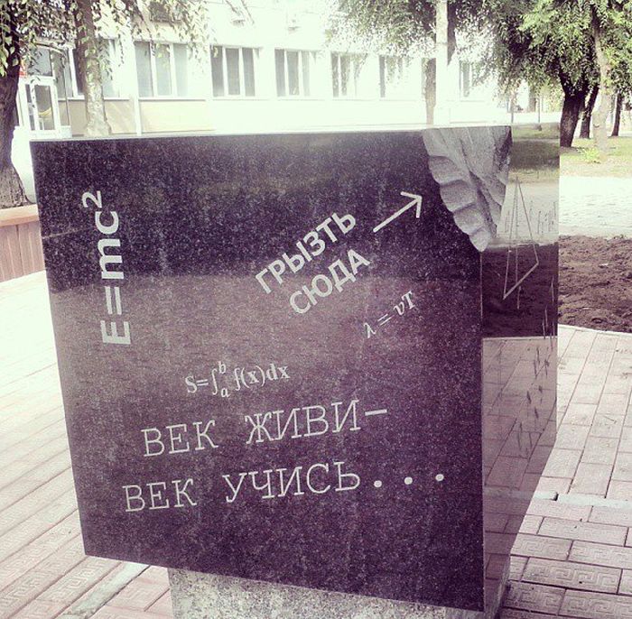 Забавные картинки