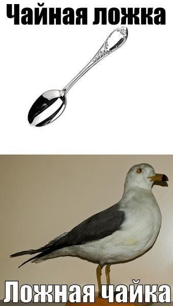 Забавные картинки