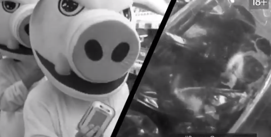 Хрюши Против - Лучшее напоминание