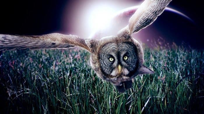 Манипуляции с фото от Tullius Heuer