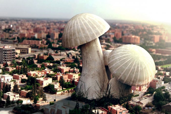 Манипуляции с фото от Tullius Heuer