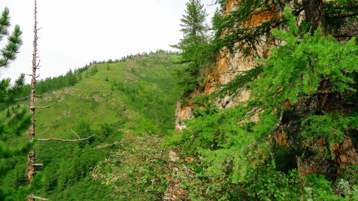 Обои на рабочий стол /Сomp Wallpapers 105