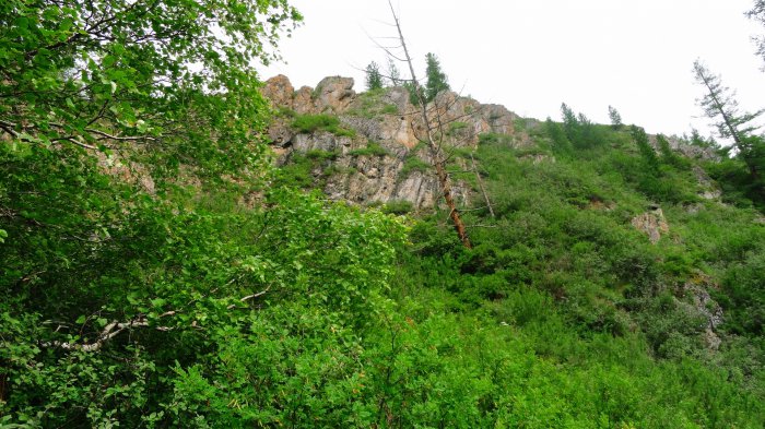 Обои на рабочий стол /Сomp Wallpapers 105