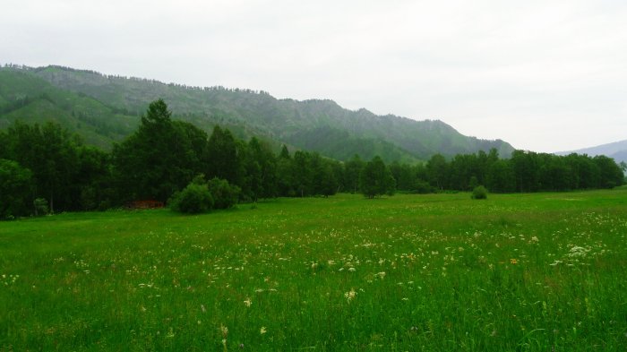 Обои на рабочий стол /Сomp Wallpapers 105