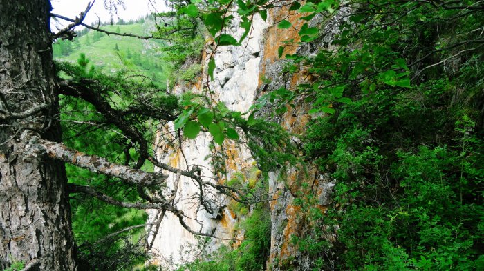 Обои на рабочий стол /Сomp Wallpapers 105