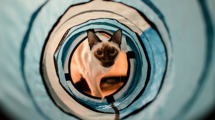 Обои на рабочий стол /Сomp Wallpapers 105