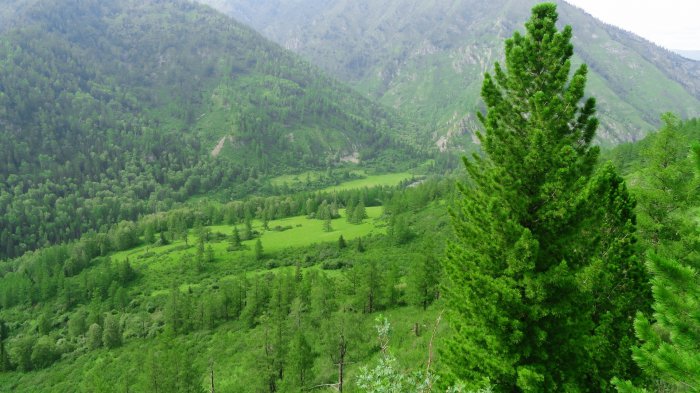 Обои на рабочий стол /Сomp Wallpapers 105