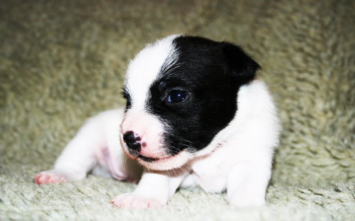 Обои на рабочий стол /Сomp Wallpapers 105