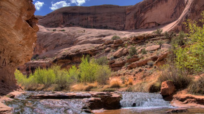 Обои на рабочий стол /100 Amazing Mixed FullHD Wallpapers v10