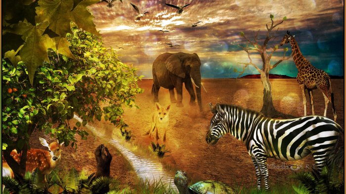 Обои на рабочий стол /100 Amazing Mixed FullHD Wallpapers v10